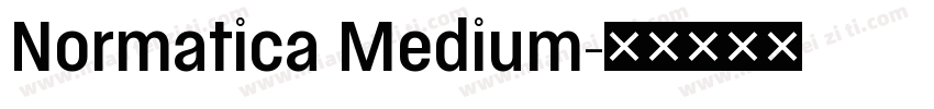 Normatica Medium字体转换